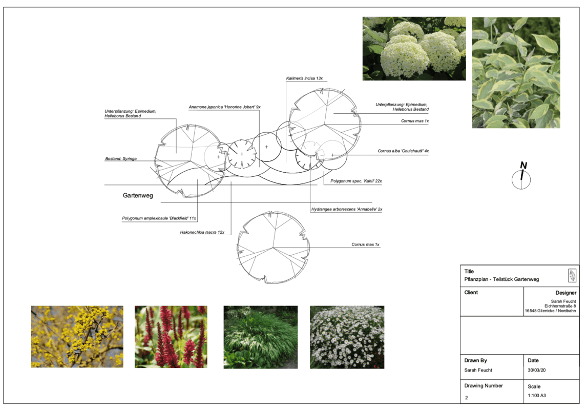 Gartengestaltung Pflanzplanung Garten Ideen Beratung